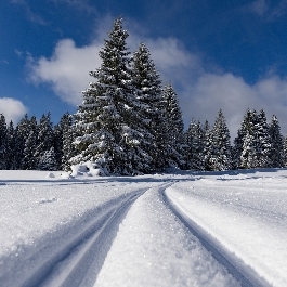 KOPAONIK LAST MINUTE PONUDE