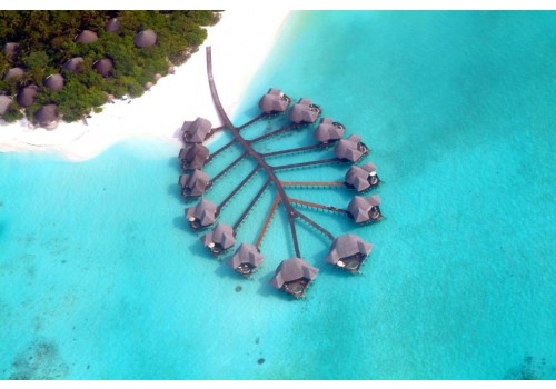 Hotel Coco Palm Dhuni Kolhu Maldivi