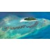 Hotel Adaaran Prestige Vadoo Adults only resort letovanje Maldivi odozgo