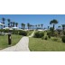 Hotel Delfino Beach Hamamet Tunis Letovanje ležaljke trava
