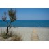 Hotel Lito Beach Gerani Krit Letovanje Grčka plaža