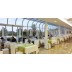 HOTEL LIVADA PRESTIGE TERME 1000 MORAVSKE TOPLICE WELLNESS 