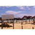 Hotel Zodiac Yasmine Hammamet Tunis Letovanje plaža suncobrani